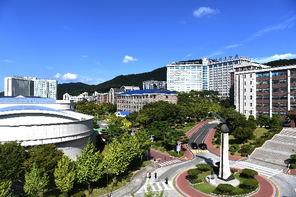 시험 공부하기 좋은 학교 앞 카페 몇 곳 대표이미지